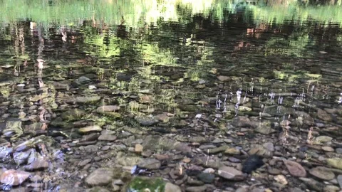 Reflections on the water surface of the Ruhr Stock Footage 103337429