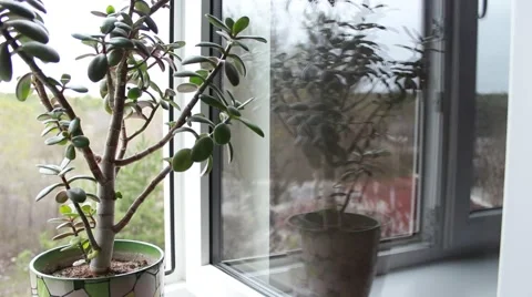 Reflections in a window 動画素材 62854223