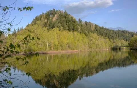 Reflectios in a river Oregon state. Stock Photos