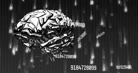 Reflective brain rotating as binary rain starting, revealing numeric labels and Stock Footage 328584555