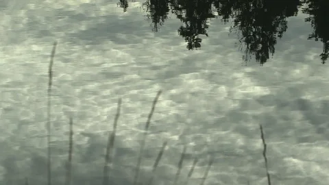 Reflective clouds... Video stock 92002963