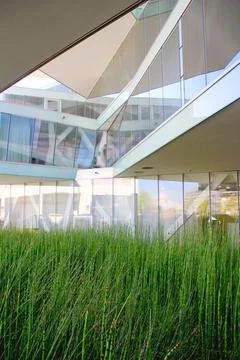 Reflective complex architecture and nature. concept image Stock Photos