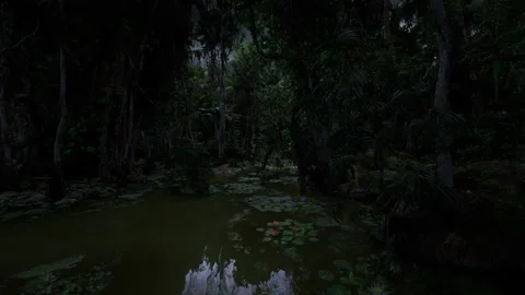 Reflective dark waters host tranquil lily pads and nocturnal creatures Stock Footage 334340048