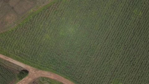 Reflective Fish Ponds and Flooded Rice Fields From Above, Tropical Countrys.. Vídeos de archivo 337014438