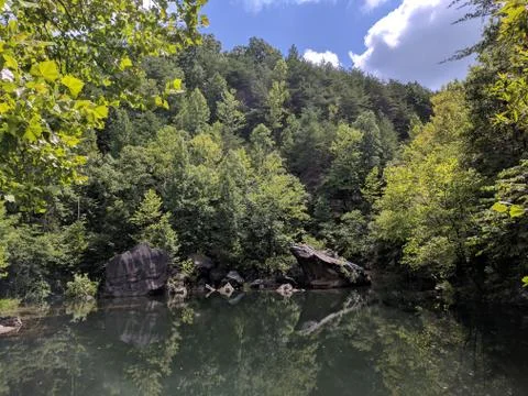 Reflective forest pond Stock Photos
