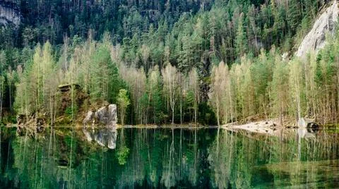 Reflective Lake Surrounded by Dense Forest Stock Photos