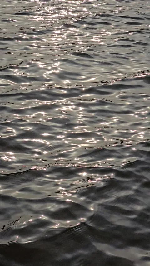 Reflective lake water 60fps vertical Stock Footage 305290848