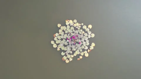 Reflective Metallic Snowflake Wall Art Stock Footage 289445512
