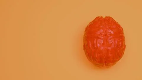 A reflective orange brain on orange background.. Stock Photos