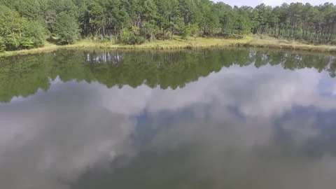 Reflective pond Video stock 290473224