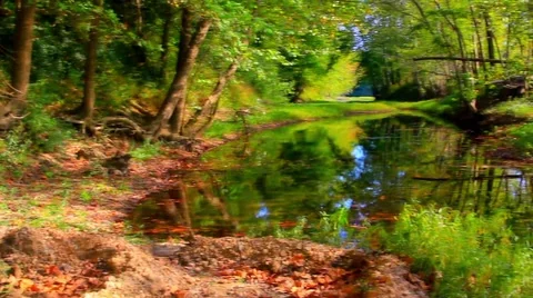 Reflective Pond No.2 Video stock 45399775