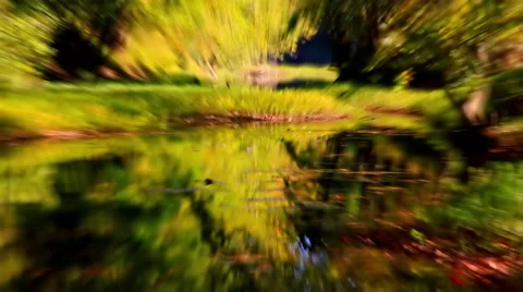 Reflective Pond No.3 Vidéo 45403222