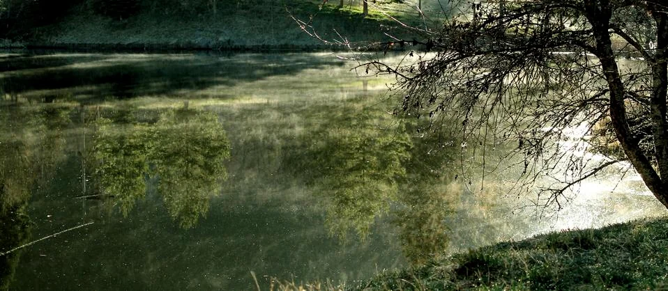 Reflective Pond Stock Photos
