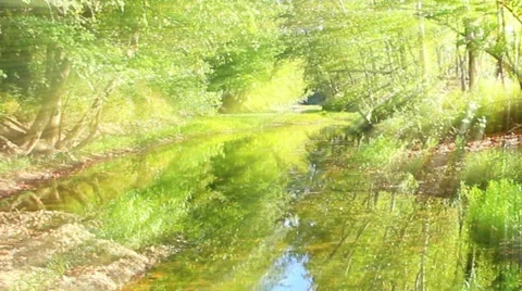 Reflective pond with sun rays No.5 Vidéo 45403139