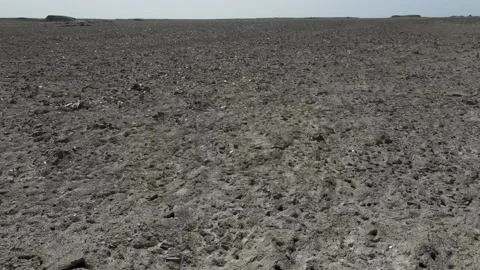 Reflective quartz in a desert riverbed, glitter like diamonds, Qinghai China Stock Footage 138936163