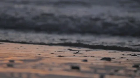 Reflective Sunset Shore Stock Footage 71124596