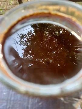 Reflective Surface of Dark Brew Stock Photos