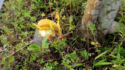 The reflective surface of the outdoor garden light Stock Footage 304063524