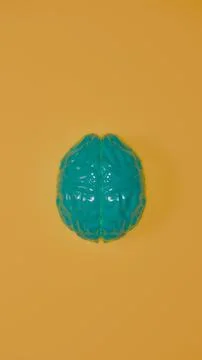 Reflective turquoise brain model on smooth orange background.. Stock Photos