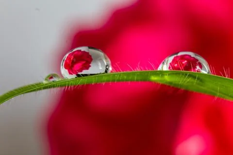 Reflective Water Drop Stock Photos