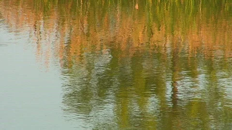 Reflective Water Stock Footage 137309