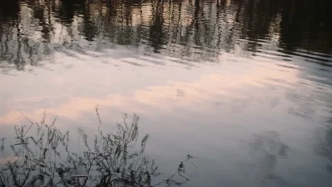 Reflective Water Surface Stock-Footage 169586289