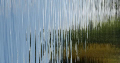 Reflective water surface nature Stock Footage 205823621