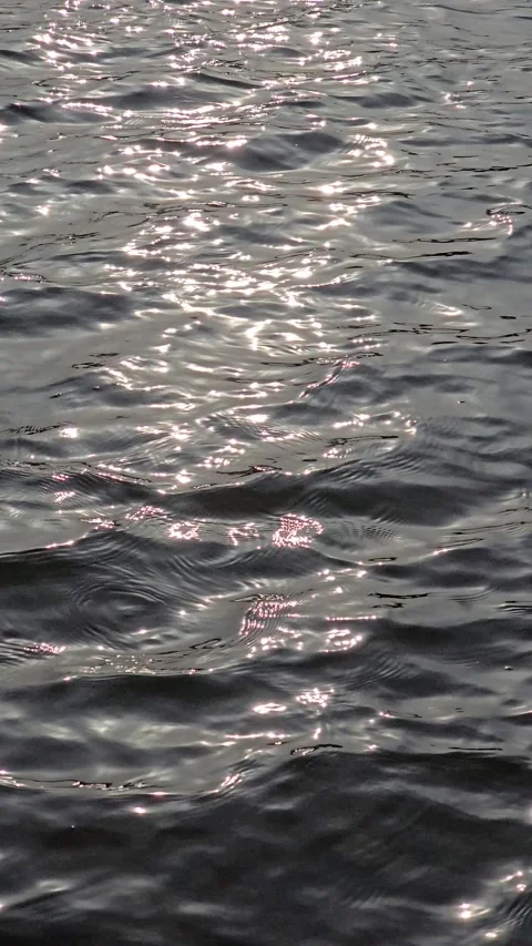 Reflectivelake water 30fps vertical Stock Footage 305290863