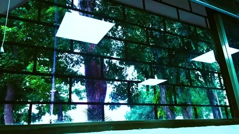 Reflejo de la ventana Stock Footage 166372568