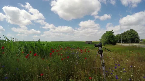 Reflex camera in the field. Stock Footage 91348078
