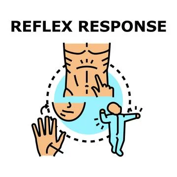 Reflex response concept showing human body reactions Stock Illustration