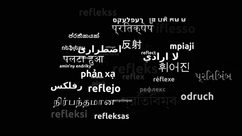 Reflex Translated in 44 Worldwide Languages Endless Looping 3d Zooming Wordcl Stock Footage 145215840