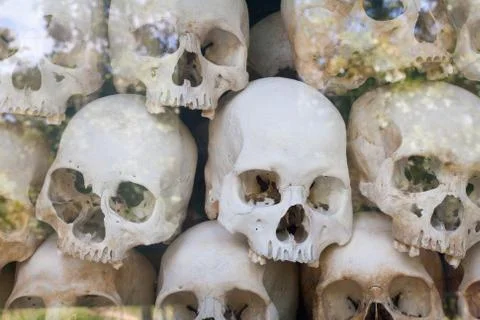 Reflex view of Skulls Wall behind glass in memorial camp building in Cambodia Stock Photos