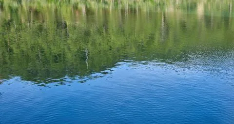 Reflexes Stock Photos