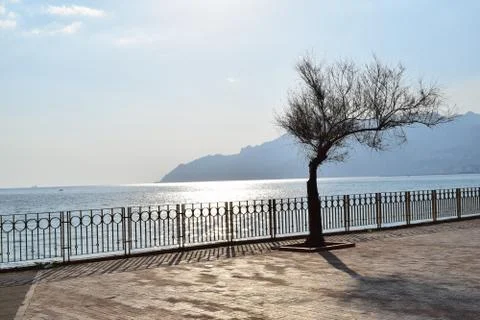 Reflexes Stock Photos