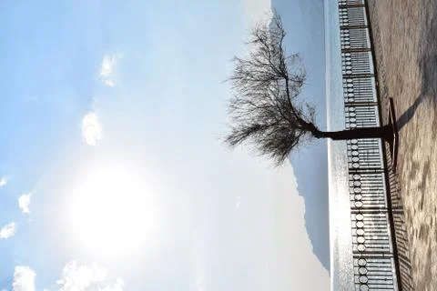 Reflexes Stock Photos