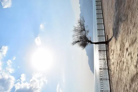 Reflexes Stock Photos