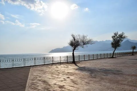 Reflexes Stock Photos