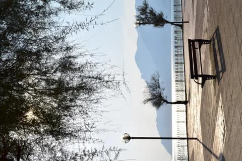 Reflexes Stock Photos