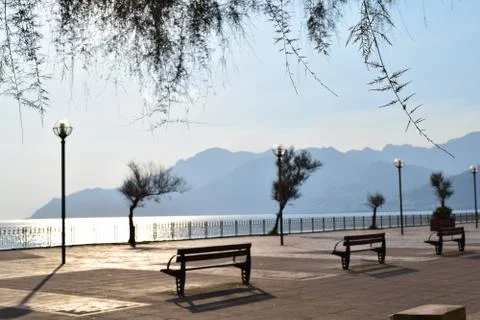 Reflexes Stock Photos