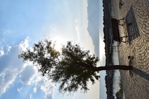 Reflexes Stock Photos