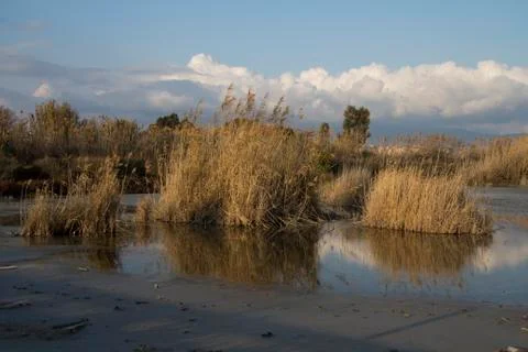 Reflexes in the Quartu Saline 스톡 사진