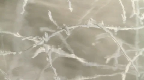 Reflexion of branch covered with hoarfrost.  Stock-Footage 1068216
