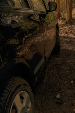 Reflexion  on CAR  in  Forest Stock-Fotos