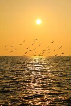 Reflexion of light of the sunset. Stock Photos