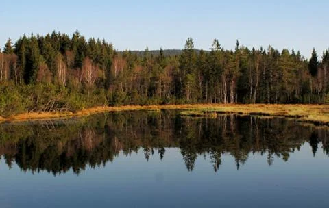 Reflexion Stock Photos