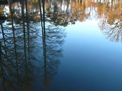 Reflexion Foto stock