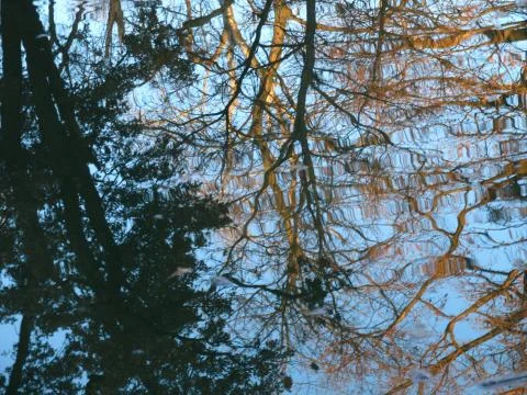 Reflexion Foto stock