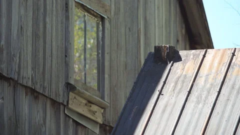 Reflexion of tree in window in the attic of the old house / Focus on roof pinion Vídeo Stock 130886668