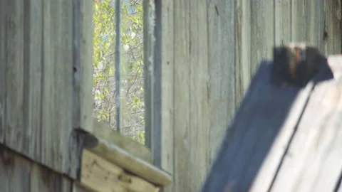Reflexion of tree in window in the attic of the old house Stock Footage 130886737